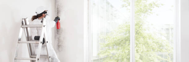 Best Mold Remediation for Healthcare Facilities  in Amarillo, TX
